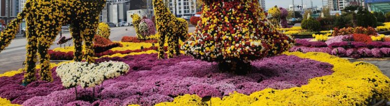 Nov 2025: vitiligo treatment