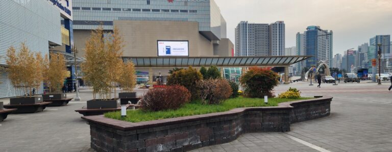 3.Forehead bump treatment jorney 🤕