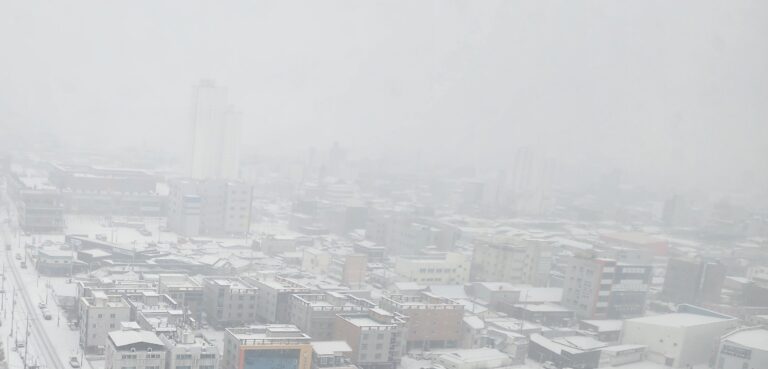 Feb 2026: Vitiligo Treatment (8months)