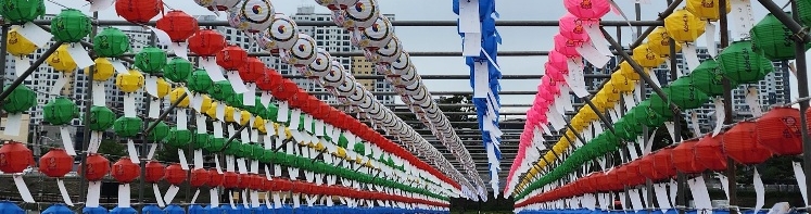 Review: Yeongcheon Lotus Lantern Culture Festival 2026